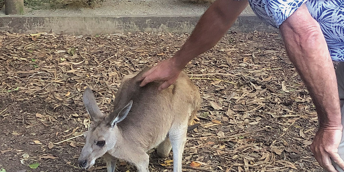 us turf professor in australia