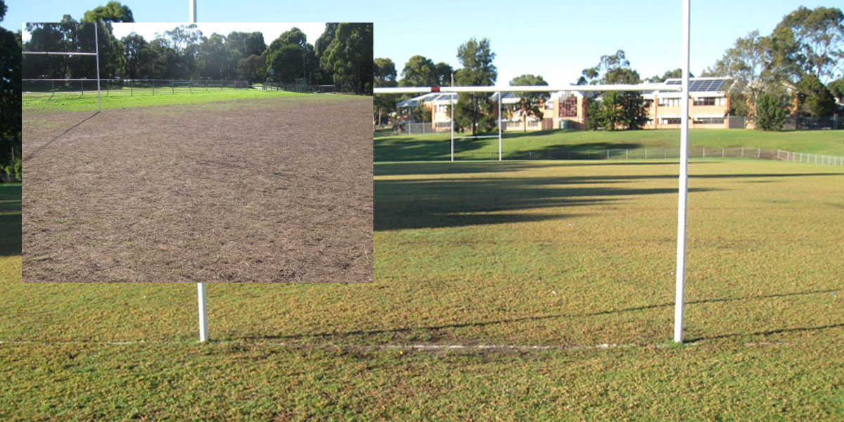 footy field grass and turf maintenance