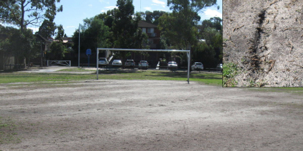 soccer field soil and lawn