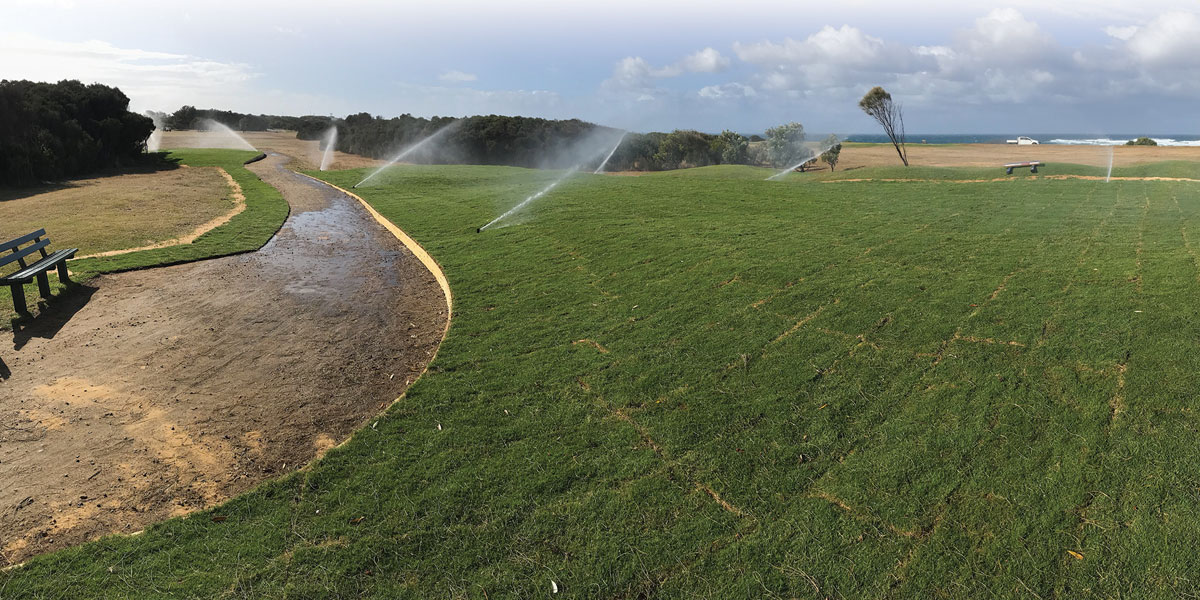 turf and lawn for golf courses