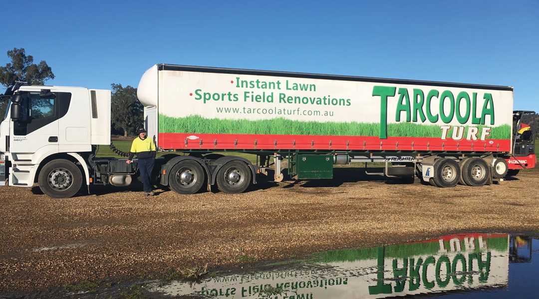 tarcoola turf murrumbidgee grower