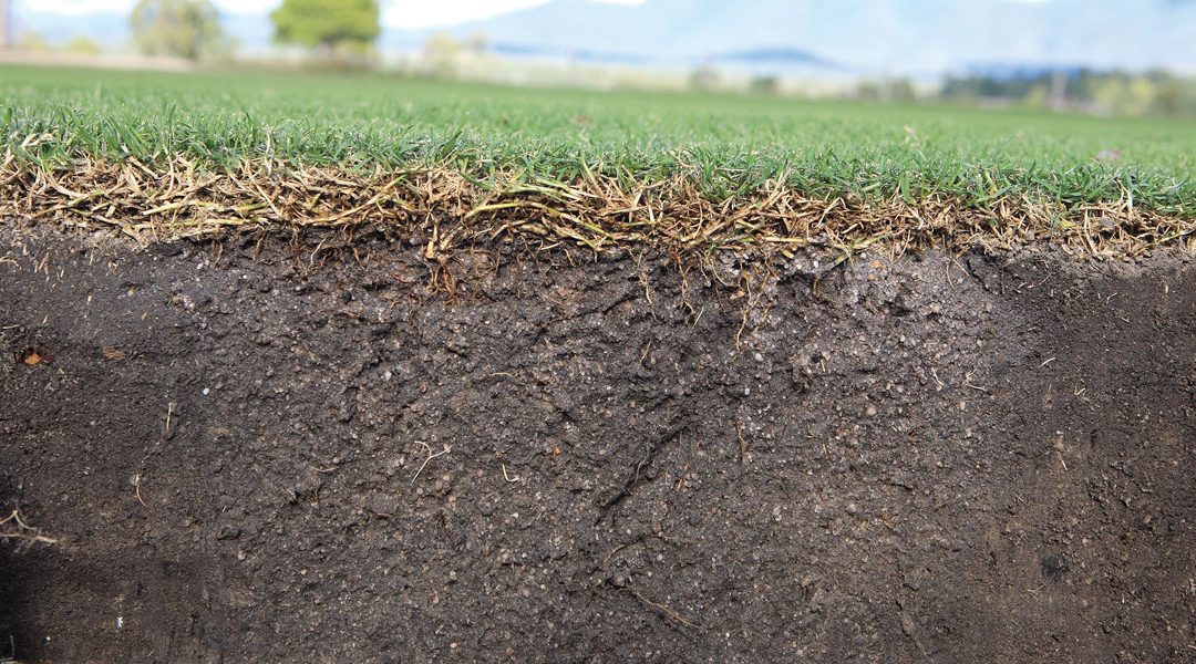 soil turfs lifeblood