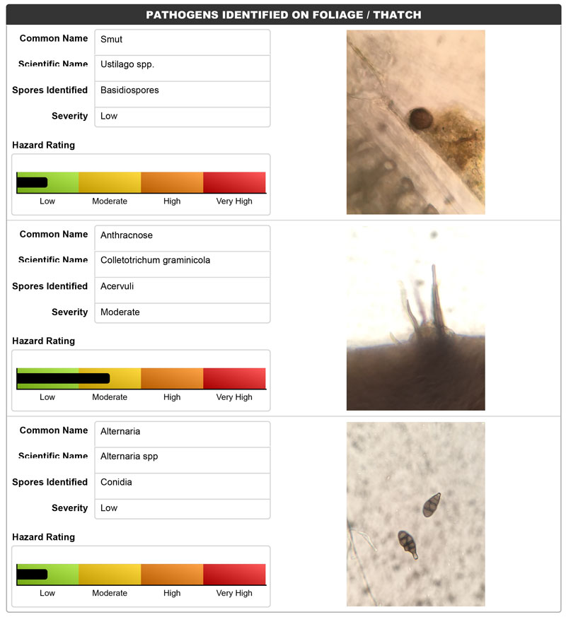  turf analysed for the presence of diseases.