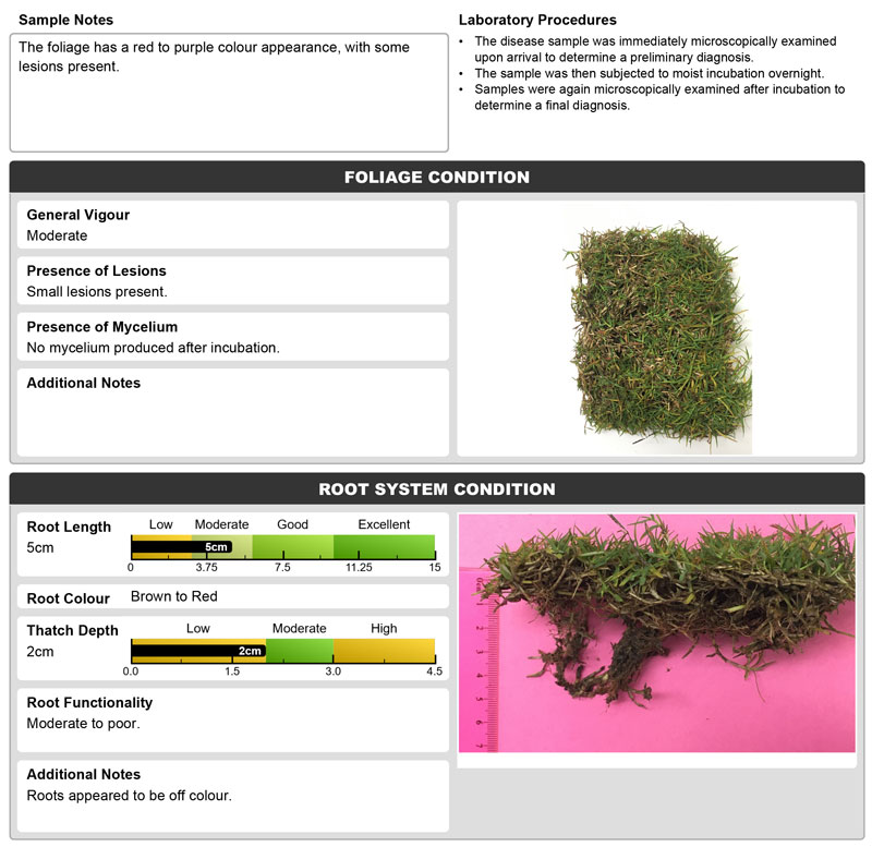 turf analysed for the presence of pathogens.