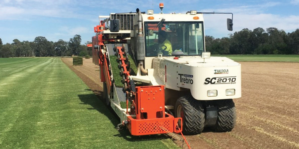 murrumbidgee turf grower