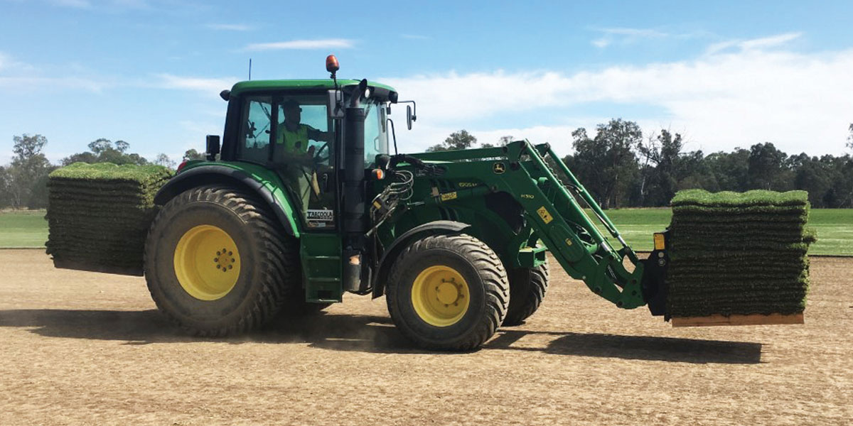 Harvesting at Tarcoola Turf, Wagga.