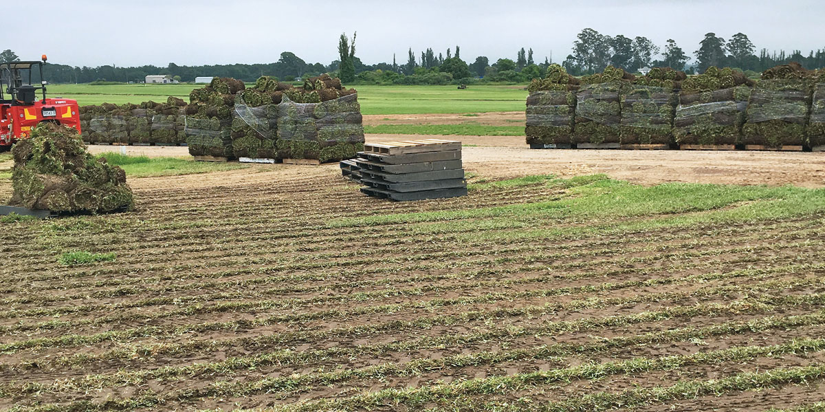 turf farming by mifsuds