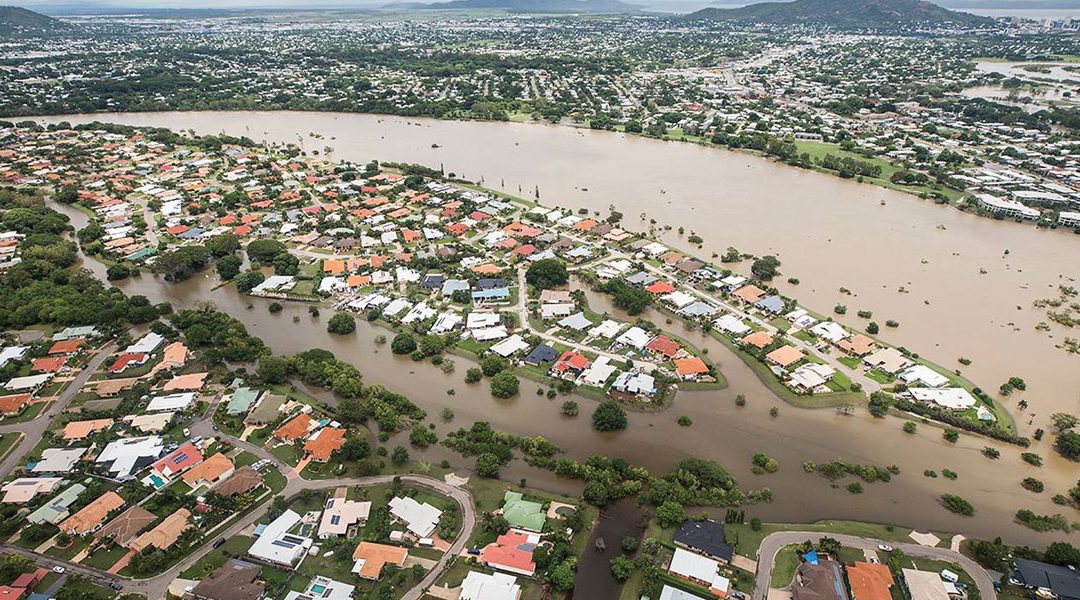 Townsvilles Revival From Drought Economic Downturn And Floods Turfbreed