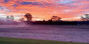 Wild Horse Turf farm 2