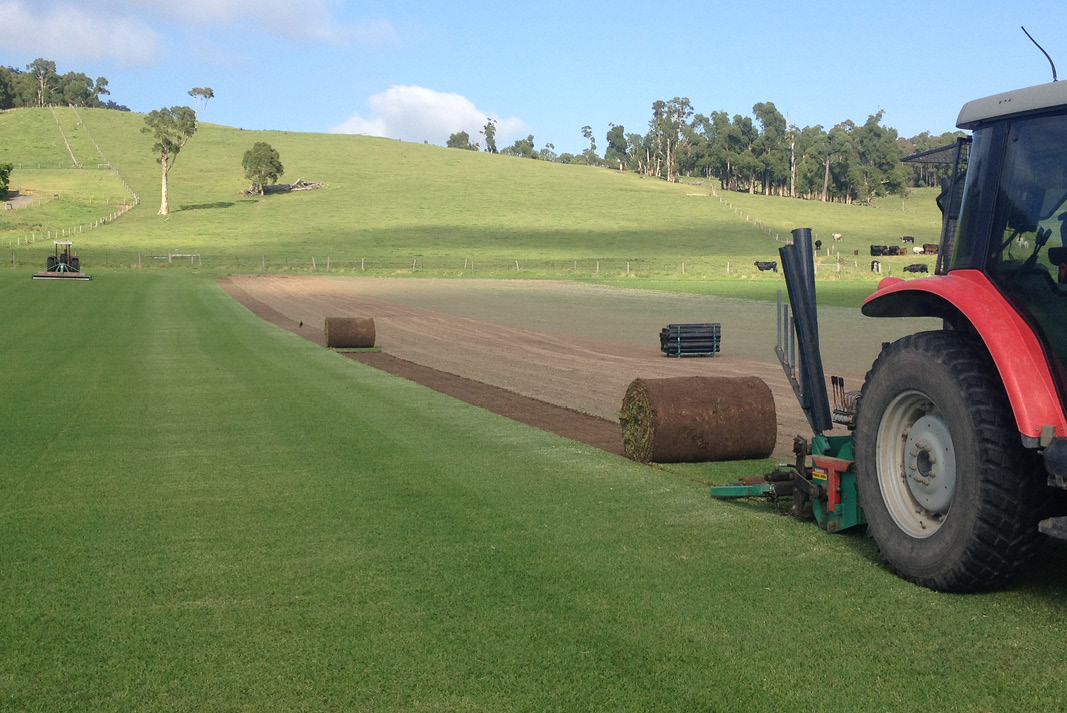 Tractor in turf field cutting maxi rolls of turf