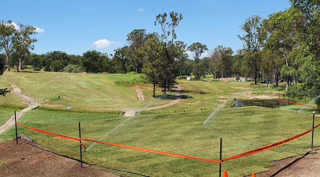 Nara Native Zoysia Tee Block Pine Rivers Golf Club Kurwongbah QLD