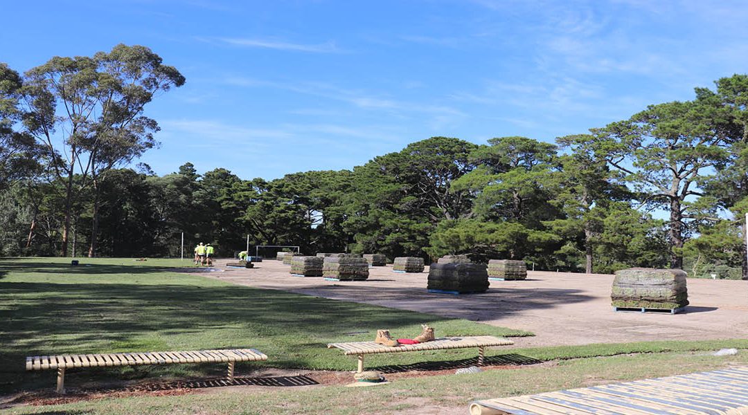 Park Orchards Primary School – Oval Renovation