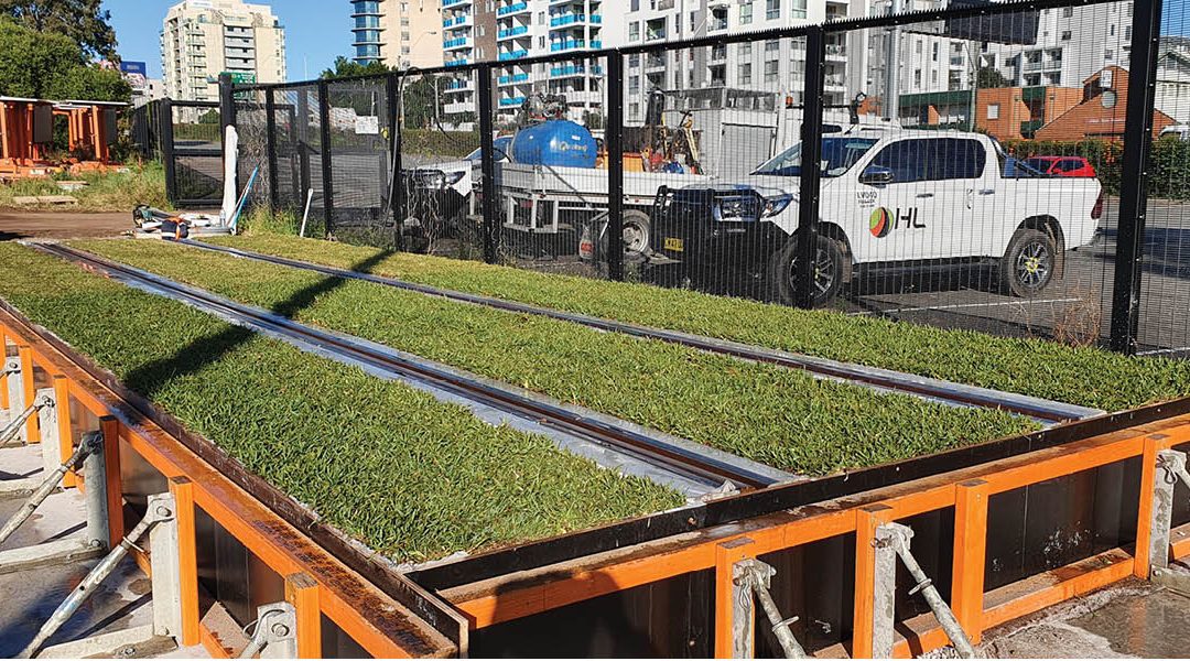 Green Turf-Laid Track on Parramatta Light Rail Project