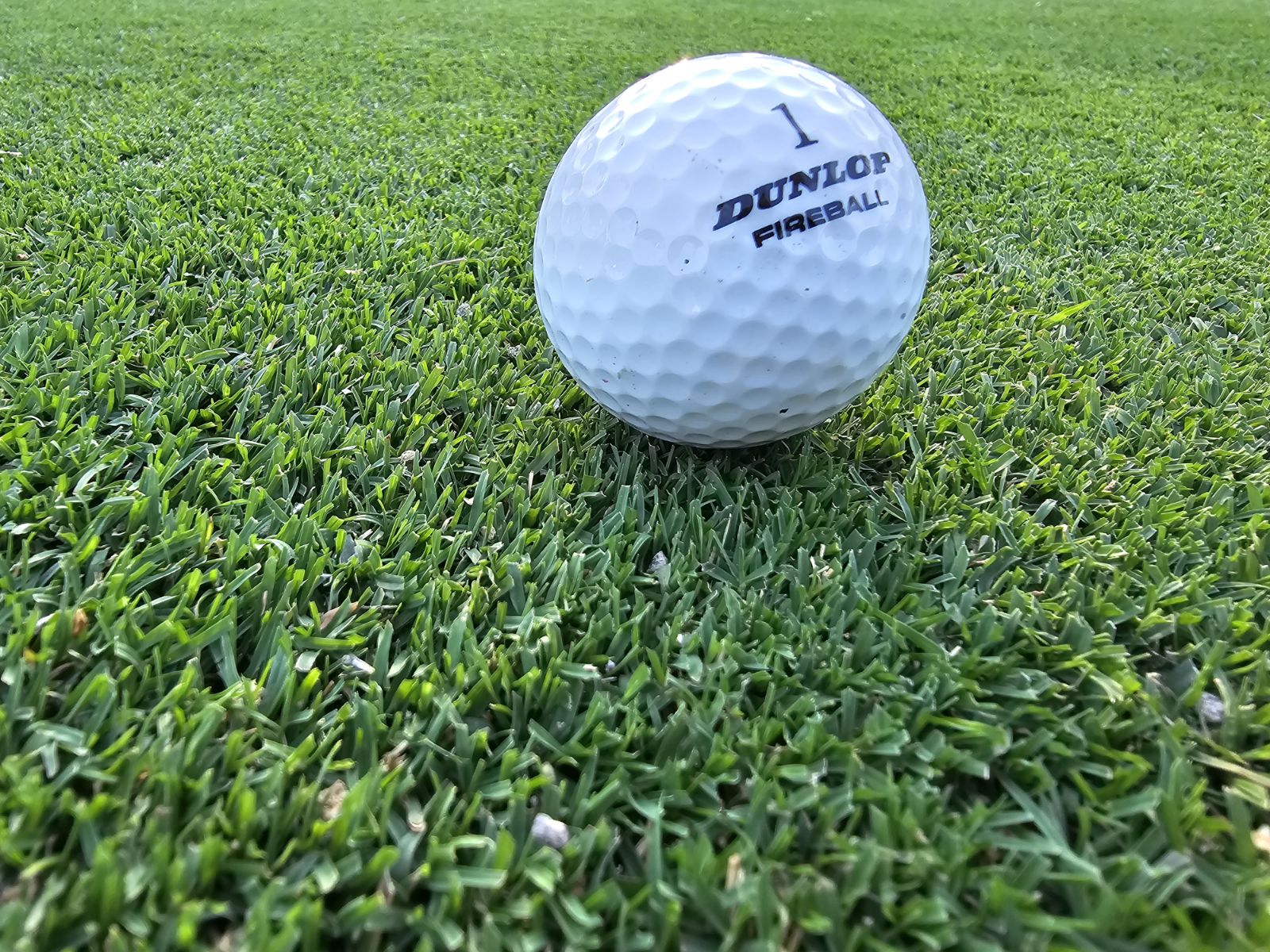 ironcutter elite hybrid bermuda grass with golfball comparison